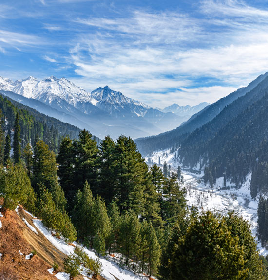 Manali - Himachal Pradesh