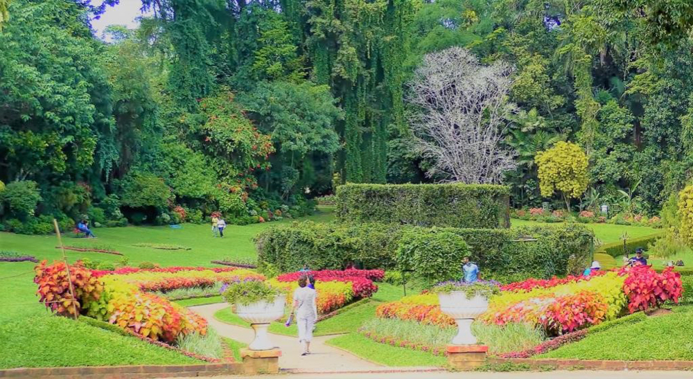 Royal Botanical Gardens