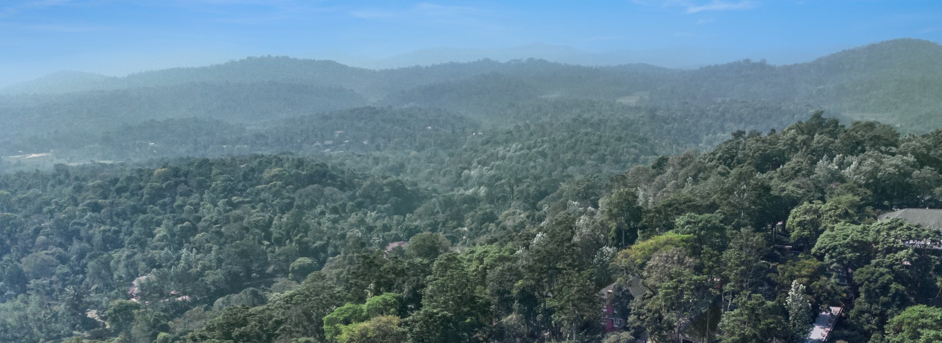 Coorg - Karnataka - India