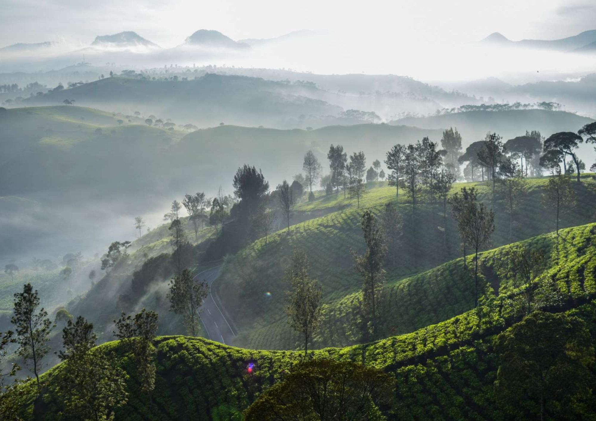 Coorg, Karnataka, India